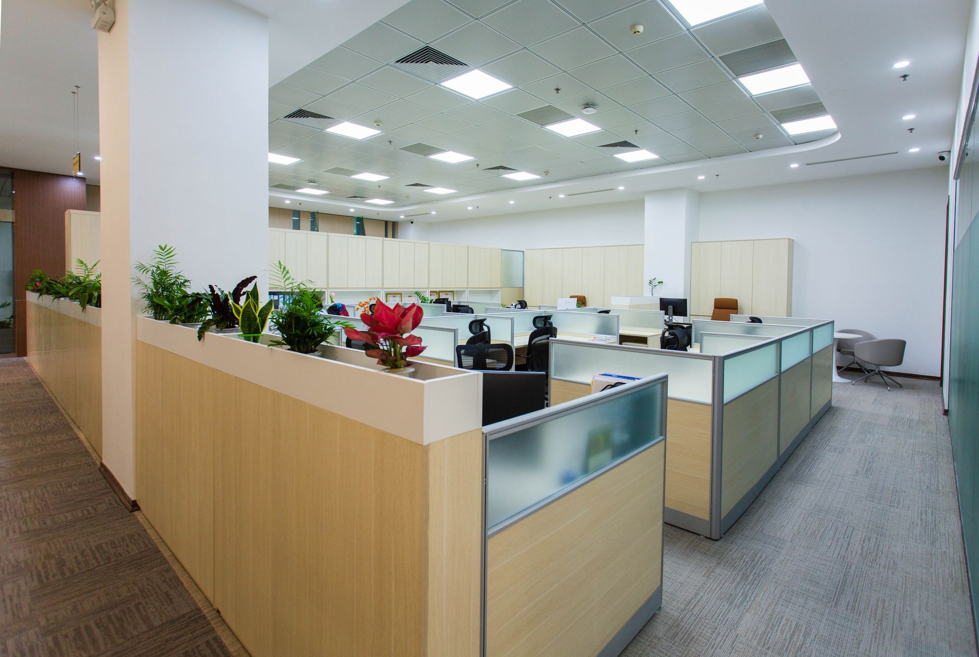 Legal Secondary Suite
